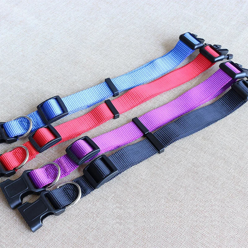 Nylon Webbing Dog Collar Heavy Duty Clip Buckle Solid Pet Collar for Small Medium Dogs Chihuahua Dog Teddy Keji Pitbull Bulldog