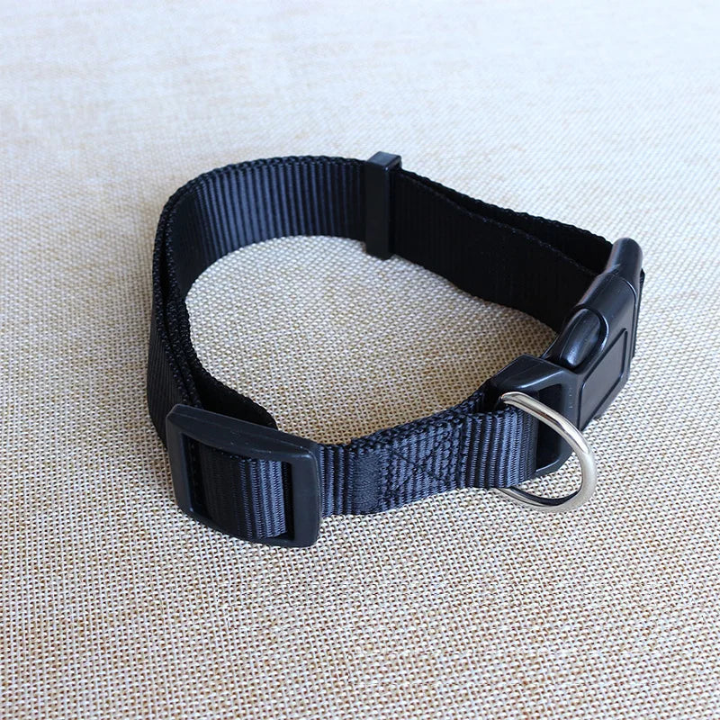 Nylon Webbing Dog Collar Heavy Duty Clip Buckle Solid Pet Collar for Small Medium Dogs Chihuahua Dog Teddy Keji Pitbull Bulldog