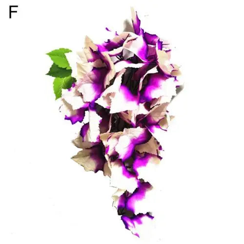 45251981836529|45251981869297