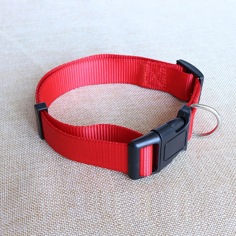 Nylon Webbing Dog Collar Heavy Duty Clip Buckle Solid Pet Collar for Small Medium Dogs Chihuahua Dog Teddy Keji Pitbull Bulldog