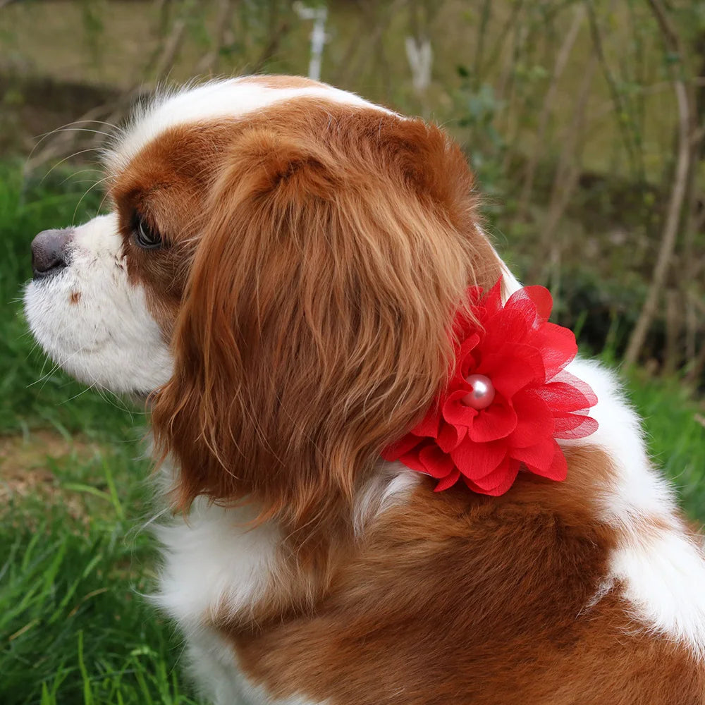 50PCS Dog Hair Bows Bulk Pet Accessories Best Sellers Collar Flower Charms Removable Dog Tie Wholesale Puppy Accessories