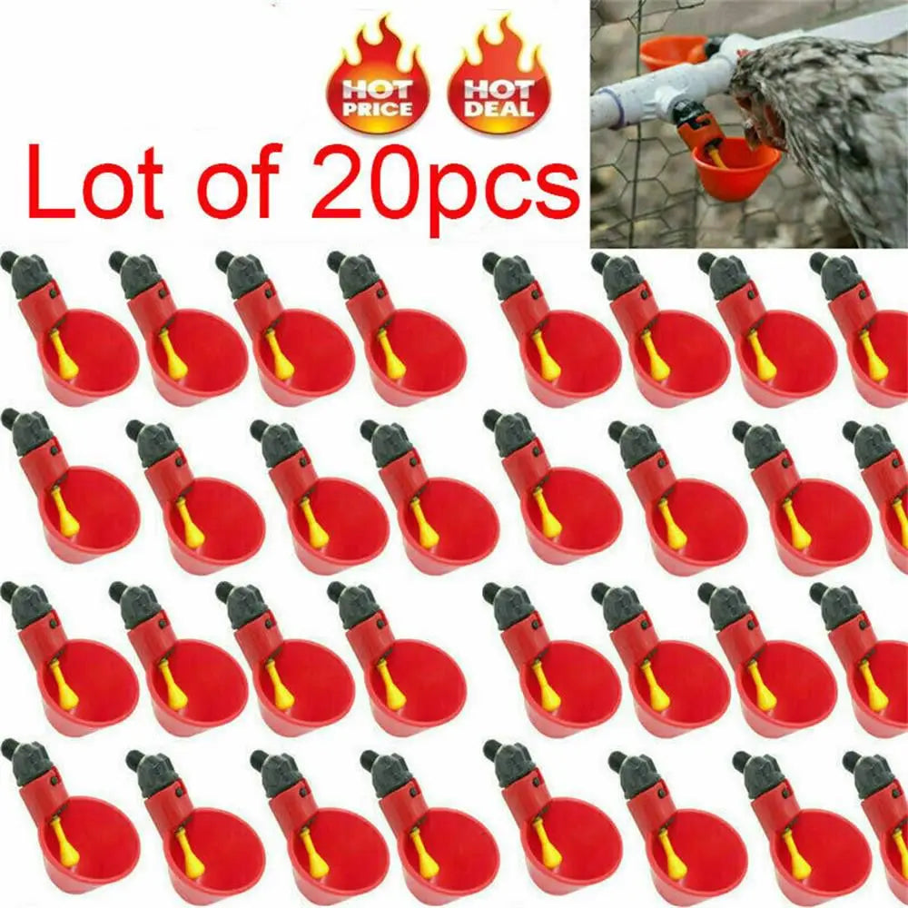 10/20 Pcs Fowl Bowl Automatic Quail Poultry Water Drinking Cups Plastic Plastic Automatic Drinker Chicken Hen