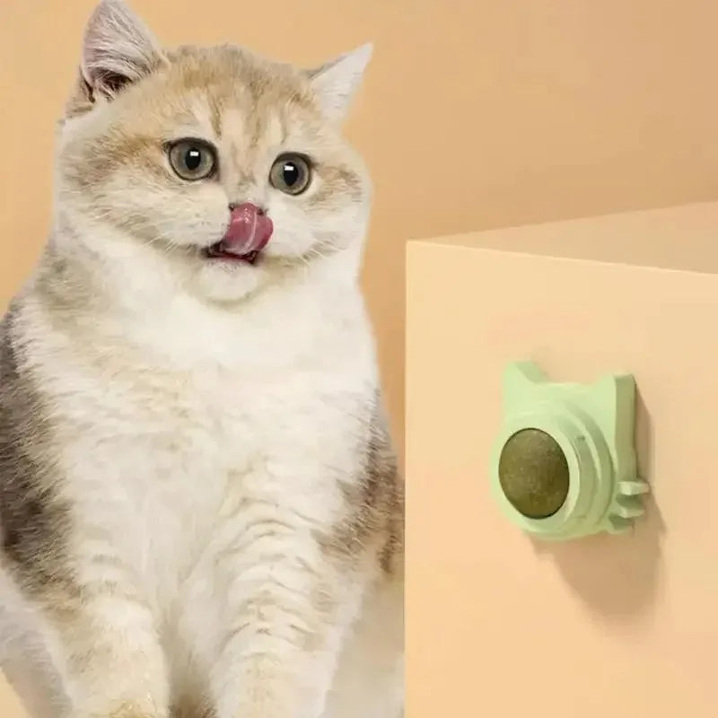 Catnip Cat Wall Stick-on Ball Natural Mint Promote Digestion Cat Grass Pet Toy Improve Appetite Spinning Toy Ball
