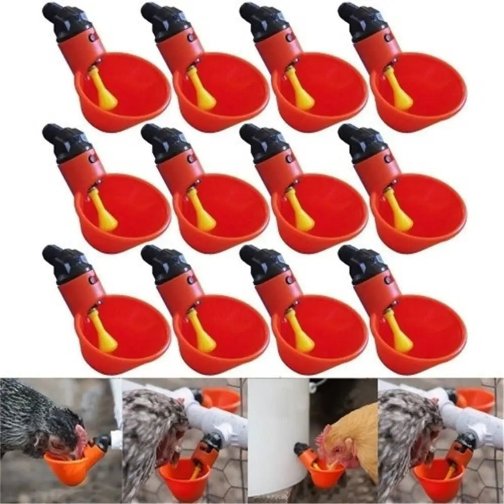 10/20 Pcs Fowl Bowl Automatic Quail Poultry Water Drinking Cups Plastic Plastic Automatic Drinker Chicken Hen