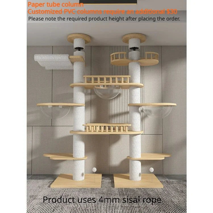 45270025175281