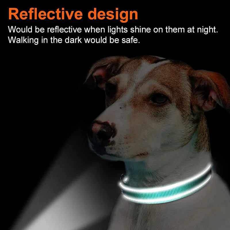 New Nylon Dog Collar Reflective Pet Collar Leash Set Outdoor Walking Night Safety Sturdy Buckle Collar for Small Medium Dogs