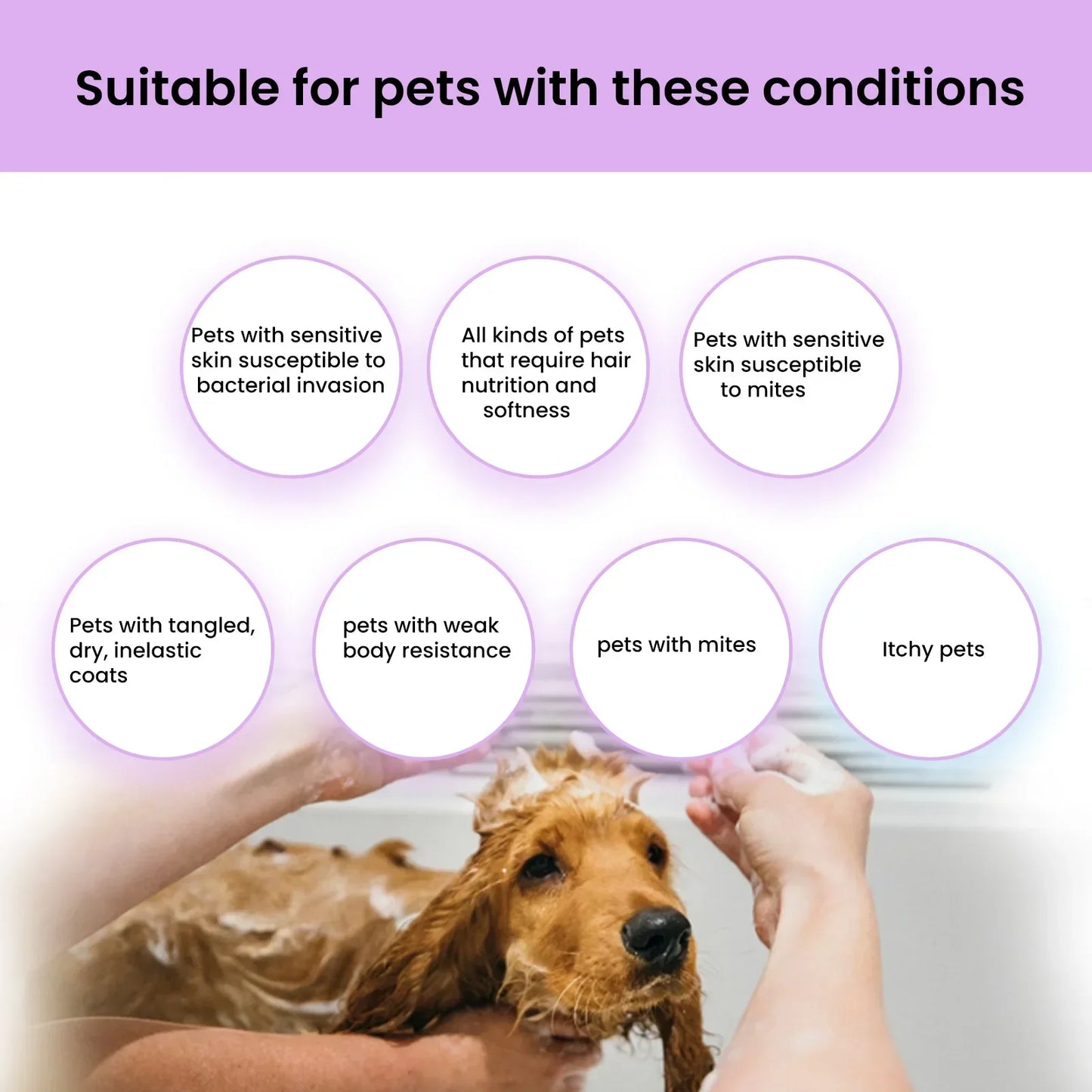 Pet Bath Shower Cleaning Cats Dogs Hair Smoothing Anti Flea Itching Odors Removal Moisturizing Effervescent Tablets Pet Shampoo