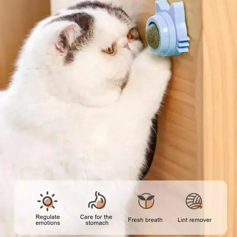 Catnip Cat Wall Stick-on Ball Natural Mint Promote Digestion Cat Grass Pet Toy Improve Appetite Spinning Toy Ball