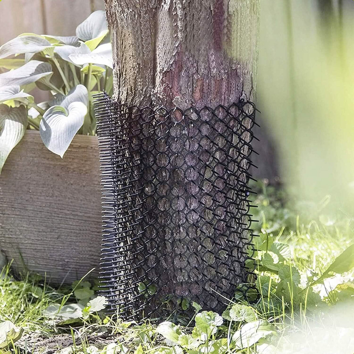 10-Piece: Cat Repellent Scat Mat with Spikes