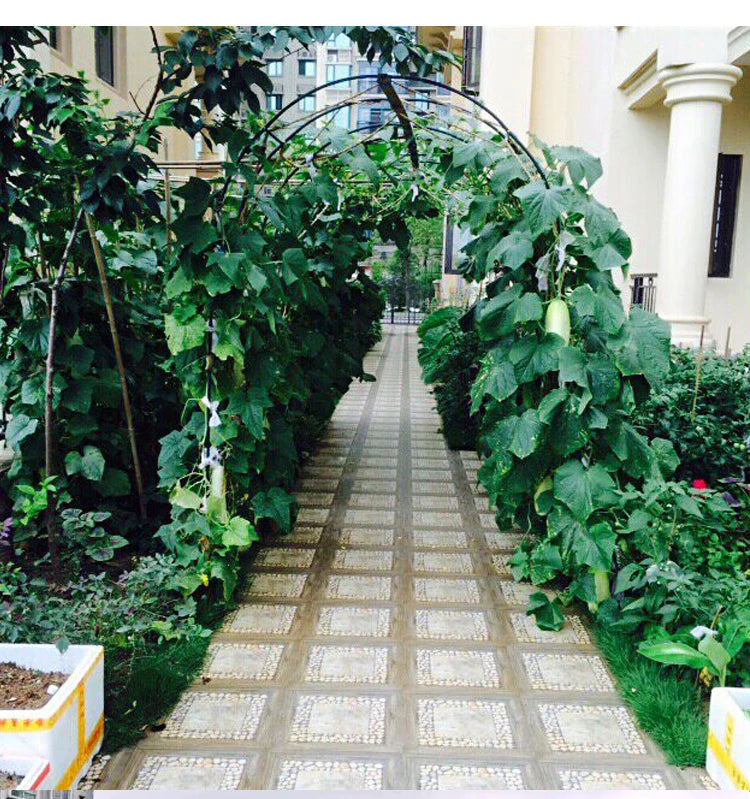 140*38*240cm High,Simple Flower Arch Gardening Gourd Vines Frame Road Lead Rattan Vine Iron.Wedding Decorative