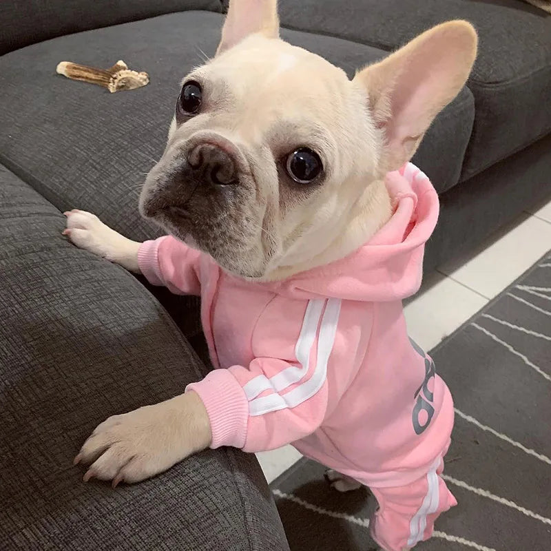 Tracksuit for Dogs Spring Autumn Dog Clothes Sport Sweatshirt Jumpsuit for Small Dogs French Bulldog Yorkie Chihuahua Hoodies