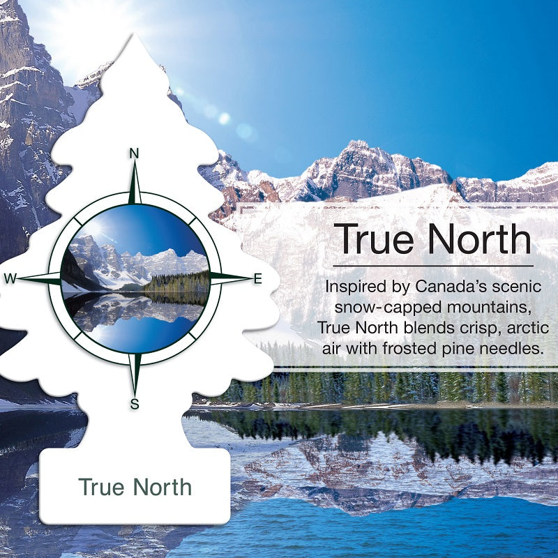 Perfume Small Tree Car Air Freshener American Small Tree Fragrance Tablets Car Interior Ornaments Car Pendant Car Aromatherapy Ointment