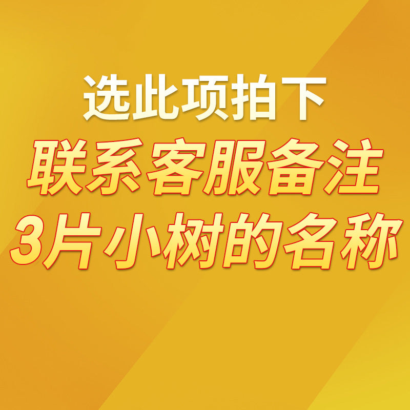 Perfume Small Tree Car Air Freshener American Small Tree Fragrance Tablets Car Interior Ornaments Car Pendant Car Aromatherapy Ointment