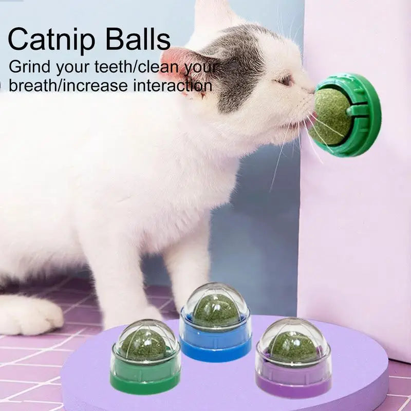 Catnip Balls Funny Lickable Cat Snack Catnip Balls Kitten Playing Chewing Cleaning Teeth Toy For Small Medium Cats pet supplies