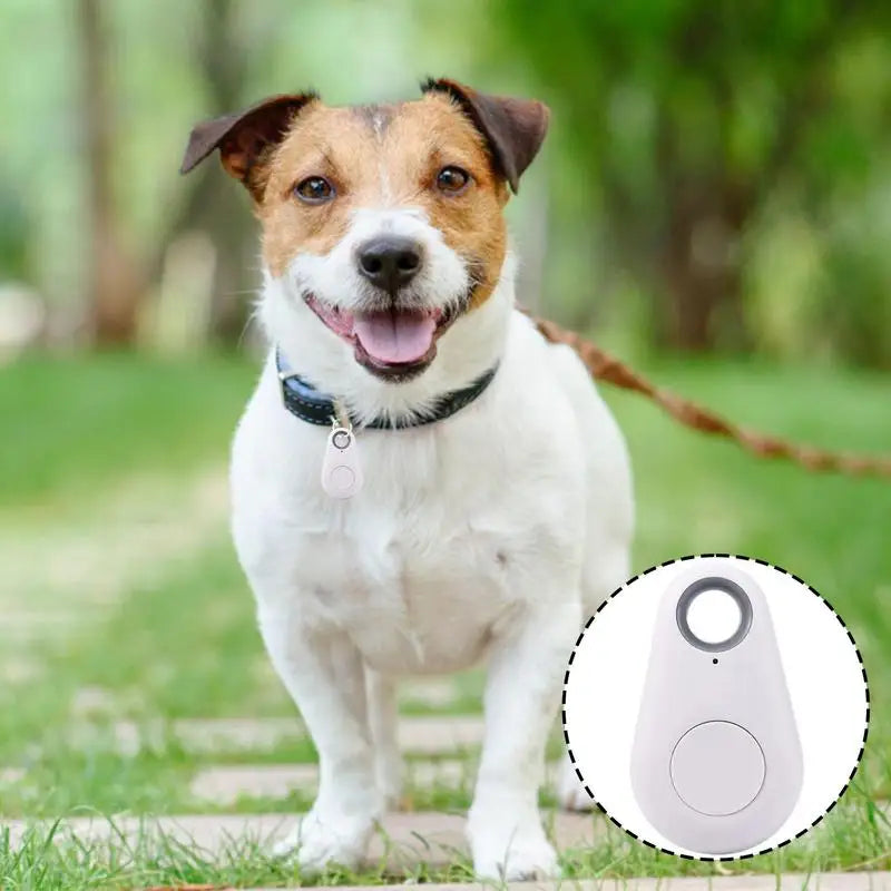 GPS Tracker for Dog Waterproof Wireless Locator for Kids Intelligent Two-Way Search Item Finders for Phone Car Wallet Luggage