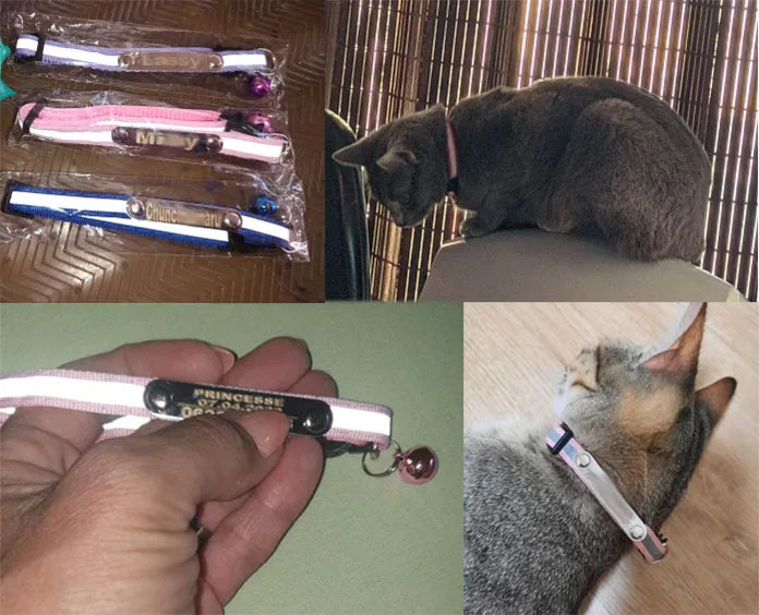 Reflective Cat Collar Custom Engraved ID Personalized with Bell Puppy Pet Breakaway Necklace Accessories Nameplate Collar