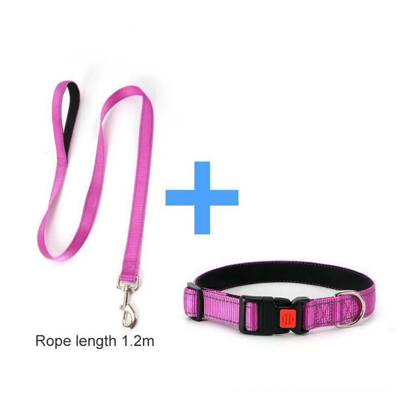 45270031302897|45270031466737|45270031532273|45270031696113