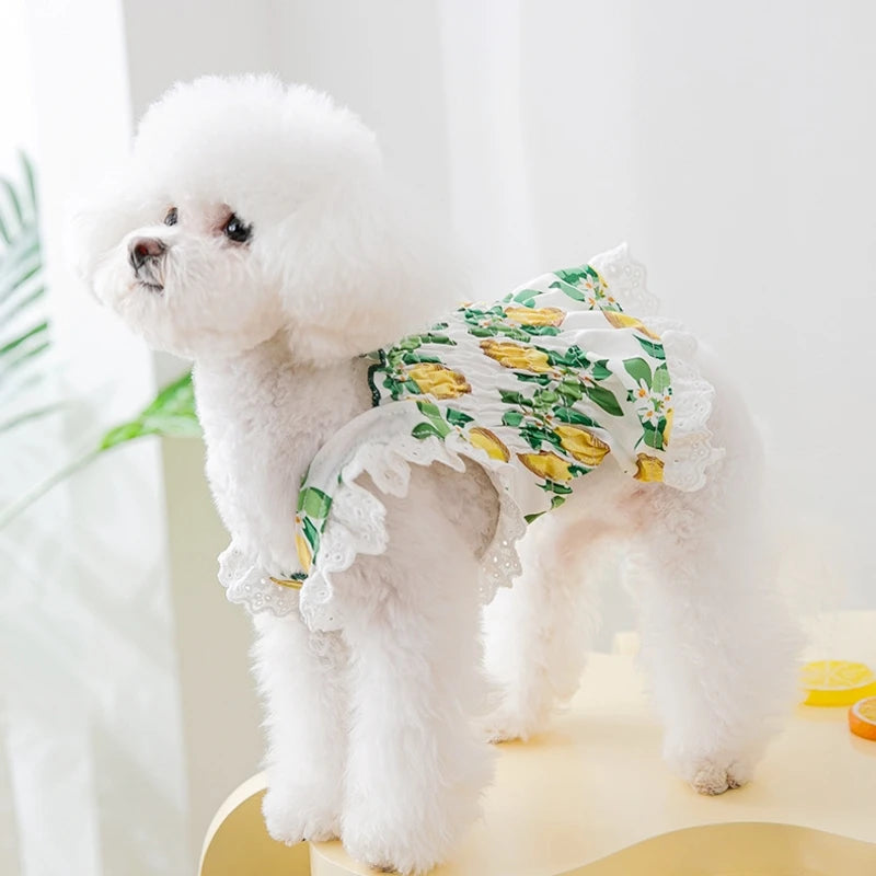 Dog Clothes Summer Cute Puppy Dress Pet Fruit Print Skirt Chihuahua Bichon Yorkie Clothing Kitten Dog Costumes Lace Dog Vest