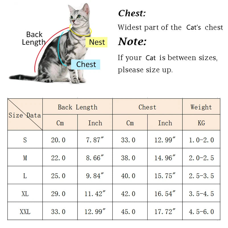 Autumn Cat Outfits Sphynx Clothing for Cats Gotas Fashion Pet Hoodie Clothes Sphinx Kit Sphinx Kitten Pullover chat vetement