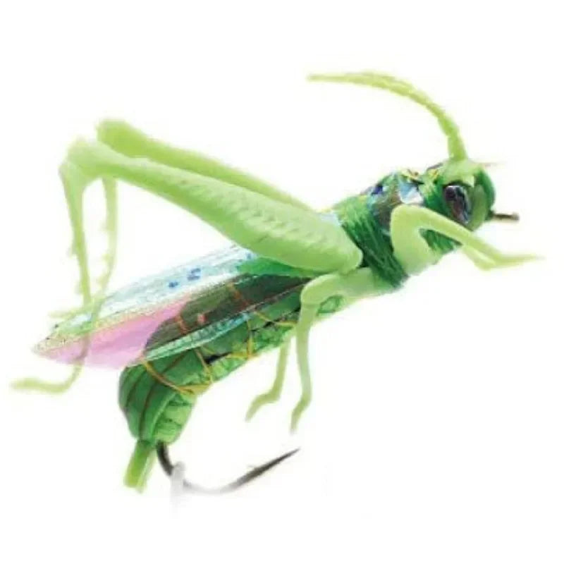 Mino Bait With Sharp Hook Locust Bionic Bait Fishing Gear Luya Bait Fishing Lures All Waters Colorful Attractive