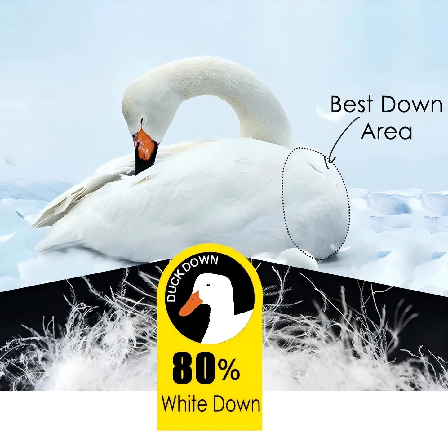 Men Winter New White Duck Down Jacket Warm Thick Stand Collar Windproof Puffer Jacket High Quality Waterproof Jacket Male 8XL