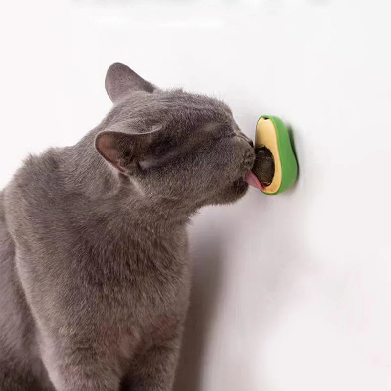 Aocado Catnip Fruit Catnip Bile Fruit Polygonum Wood Insect Gall Fruit Licking Music From Hi Catnip Aocado Catnip Fruit Catnip B