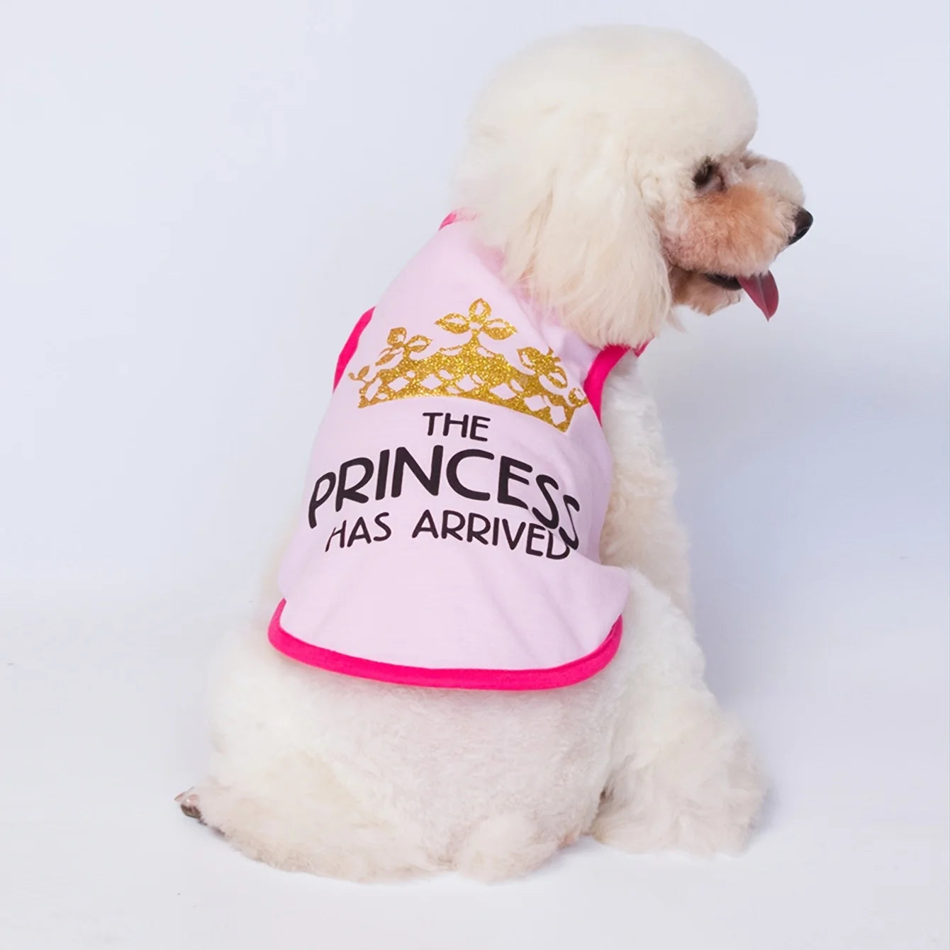 Dog Summer T-Shirts Vest,Costume Crown Basic Clothes for Small Medium Larg Boy Girl Dogs Cat Kitten Girls Boys Apparel