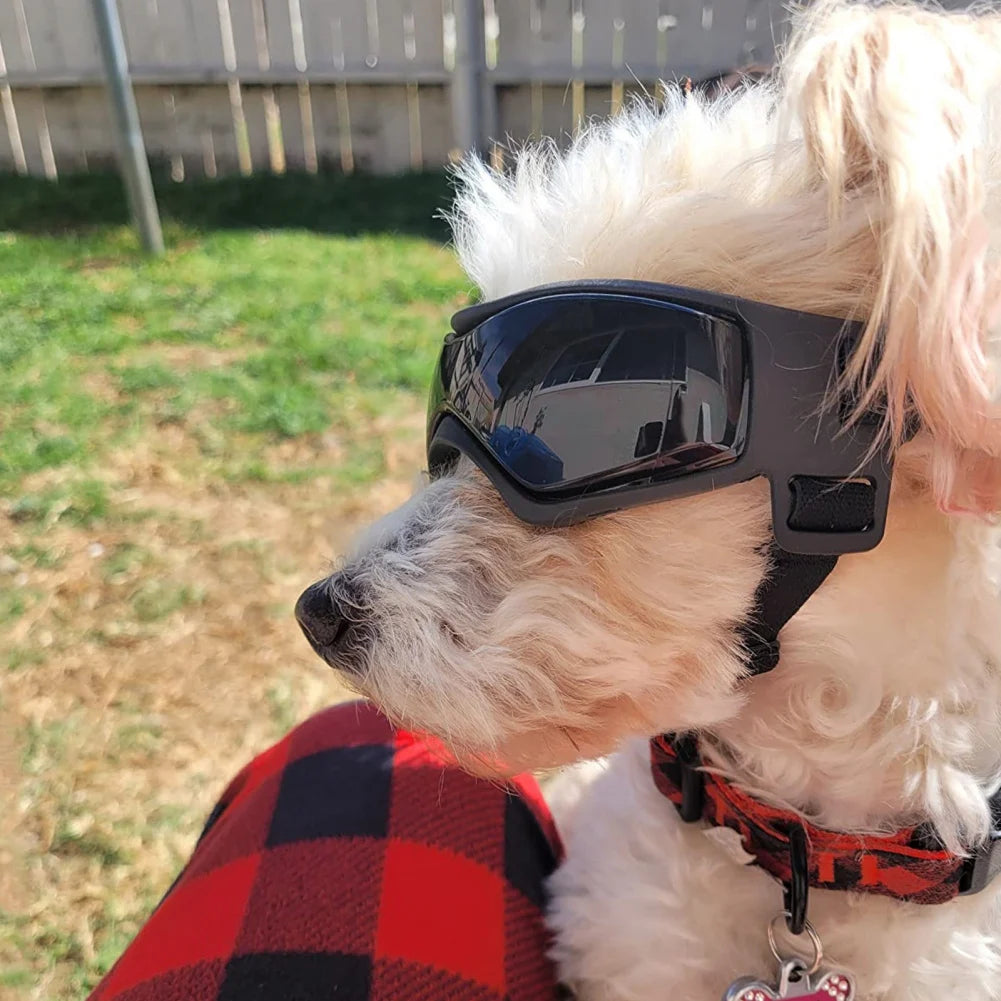 Protective Goggles for Dogs Cat Sunglasses Outdoor UV Protection Sunglasses for Small Medium Dog Puppy Glasses Pet Accessories