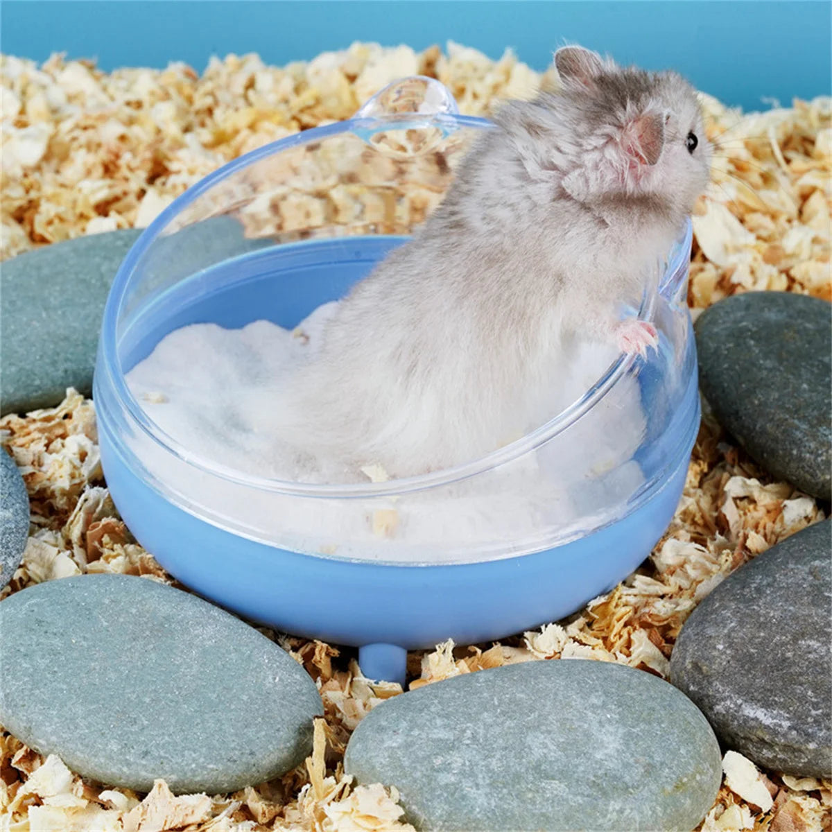 Hamster Bathroom House Sandbox Full Transparent Urine Sand Basin Golden Bear Supplies Sand Bath Container Small Pet Bathroom