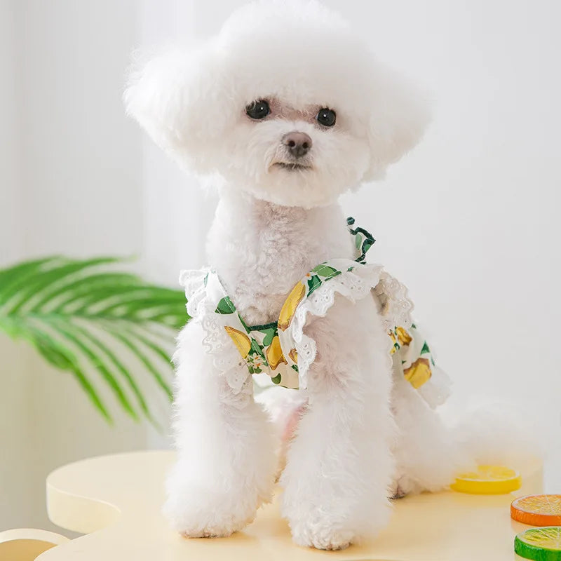 Dog Clothes Summer Cute Puppy Dress Pet Fruit Print Skirt Chihuahua Bichon Yorkie Clothing Kitten Dog Costumes Lace Dog Vest