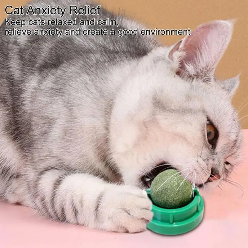 Catnip Balls Funny Lickable Cat Snack Catnip Balls Kitten Playing Chewing Cleaning Teeth Toy For Small Medium Cats pet supplies