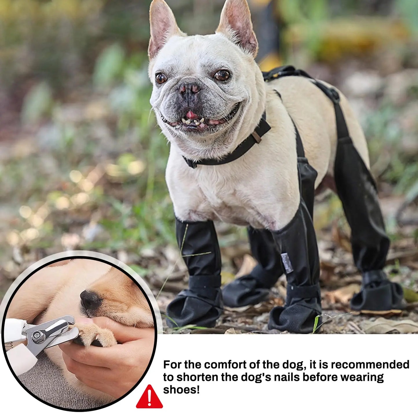 1Set Dog Shoes Puppy Dog Outdoor Sock Shoes Waterproof Dog Boot for Small Medium Dogs Pet Paw Protector Anti-Slip Dog Rain Shoes