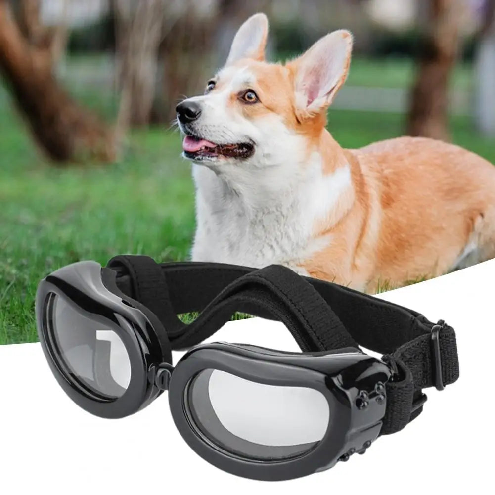 Pet Glasses Air Hole Design Windproof UV Protection Eye Protective Pet Cat Dog Sunglasses Dog Glasses Pet Supplies