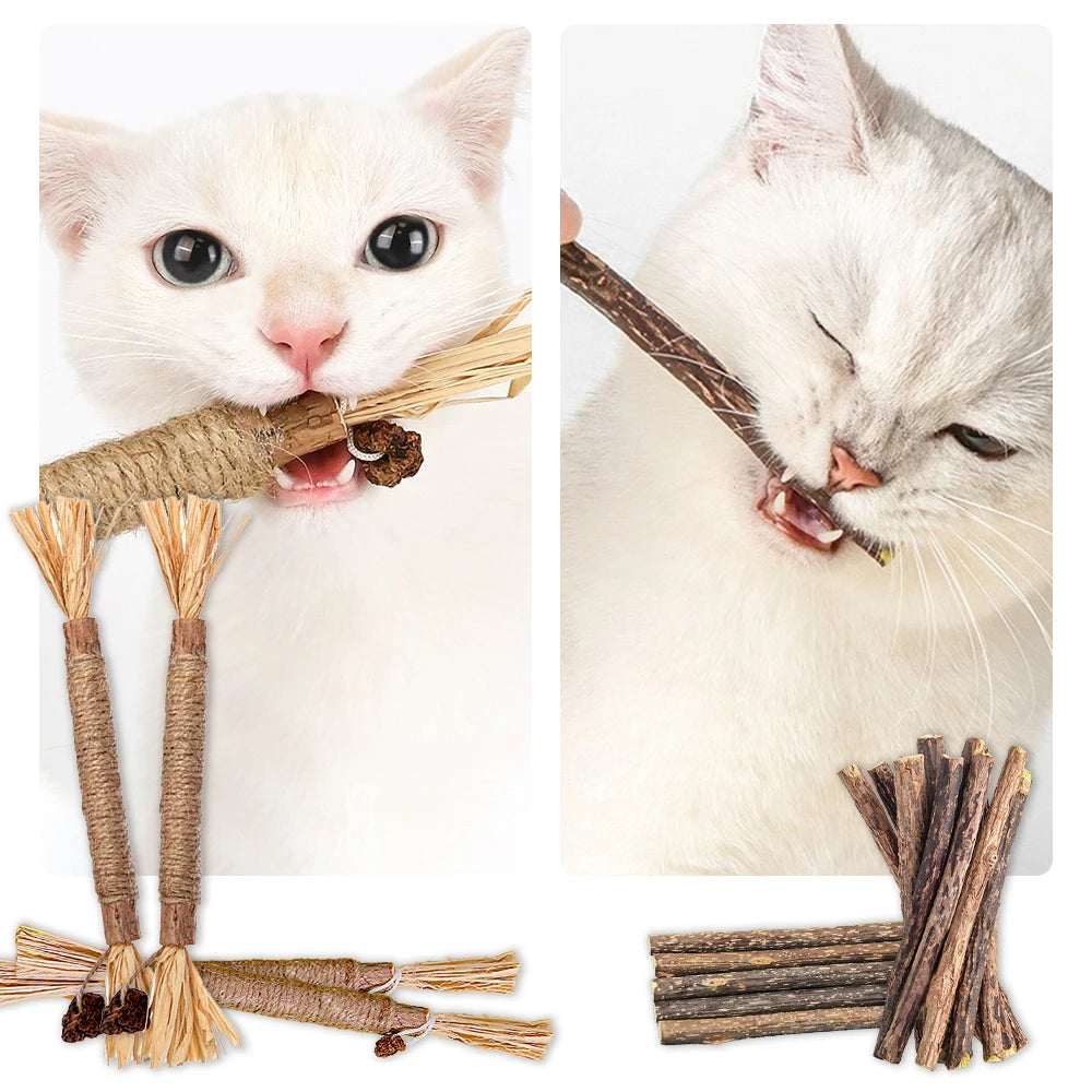 5pcs Pet Cat Snacks Sticks Catnip Polygonum Kitty Raffia Grass Pet Supplies Stick Pet Bite Cat Toy Hemp Rope Cats Accessories