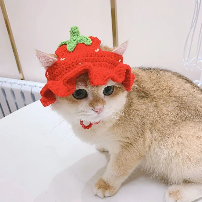 Autumn Winter Cat Hat Elastic Cute Refined Pet Hat Puppy Kittens Knitted Hat Party Photo Shoot Props Decoration Cat Accessories