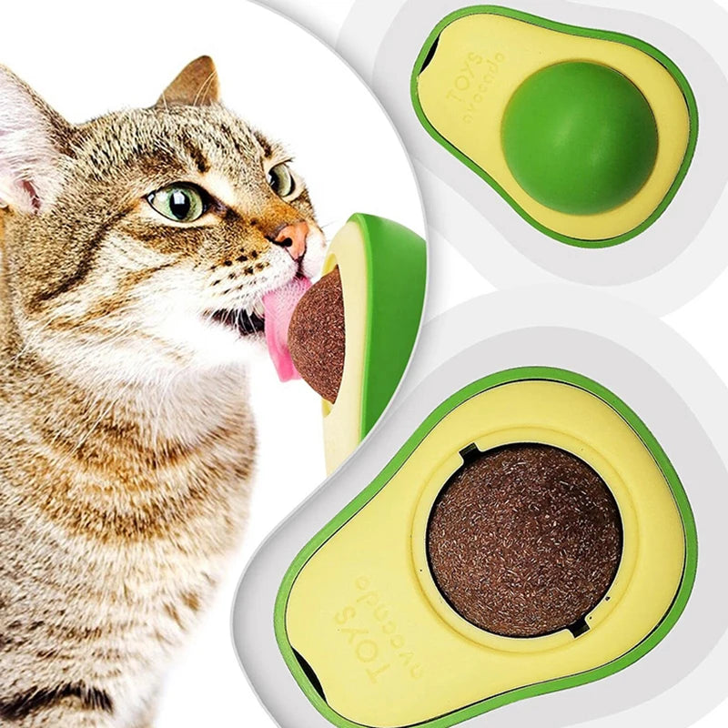 Aocado Catnip Fruit Catnip Bile Fruit Polygonum Wood Insect Gall Fruit Licking Music From Hi Catnip Aocado Catnip Fruit Catnip B