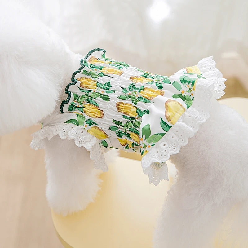 Dog Clothes Summer Cute Puppy Dress Pet Fruit Print Skirt Chihuahua Bichon Yorkie Clothing Kitten Dog Costumes Lace Dog Vest