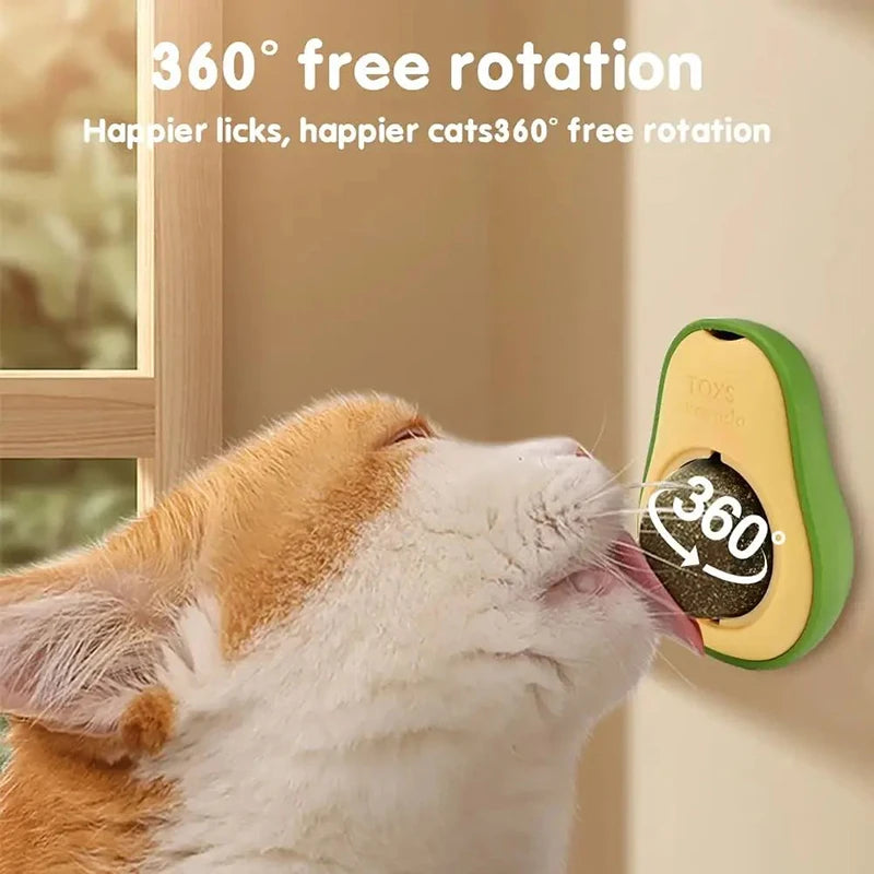 Aocado Catnip Fruit Catnip Bile Fruit Polygonum Wood Insect Gall Fruit Licking Music From Hi Catnip Aocado Catnip Fruit Catnip B