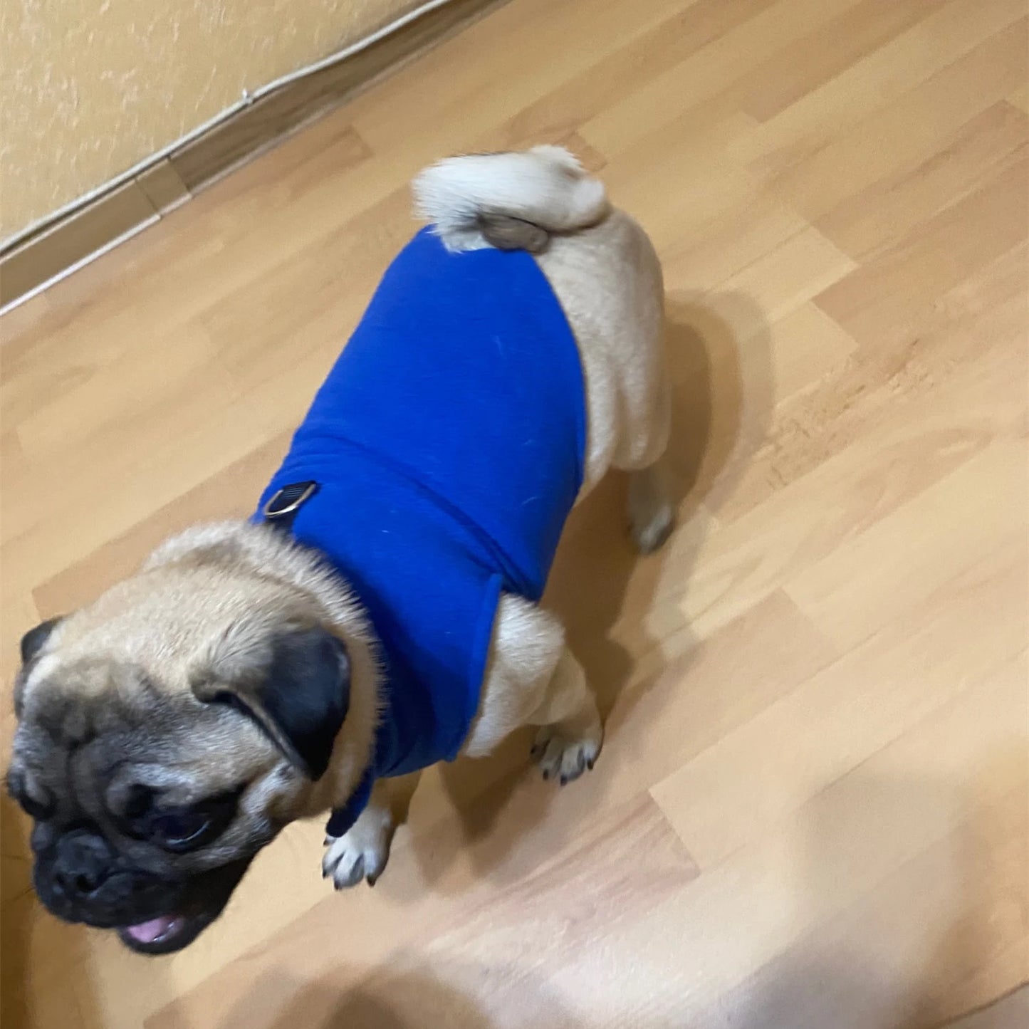 Fleece Dog Clothes For Small Dogs Spring Autumn Warm Puppy Cats Vest Shih Tzu Chihuahua Clothing French Bulldog Jacket Pug Coats