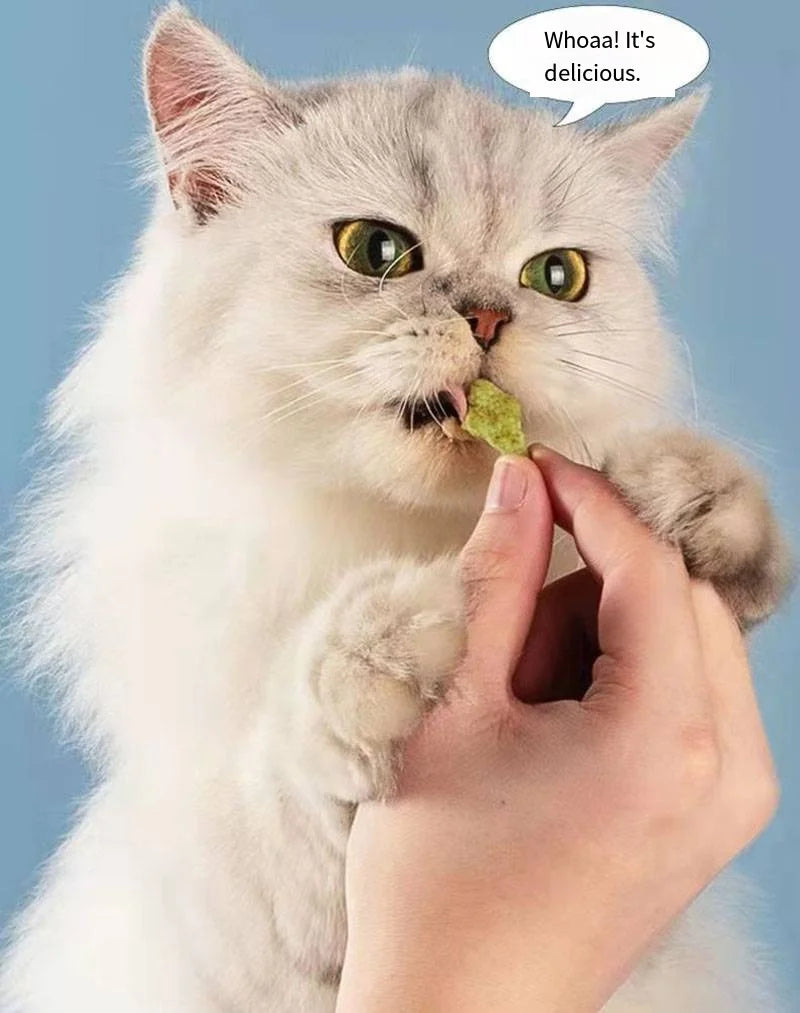 Ready-to-eat lint remover and Fattening baby cat grass Mint stick has been grown for cat mint cookie snacks