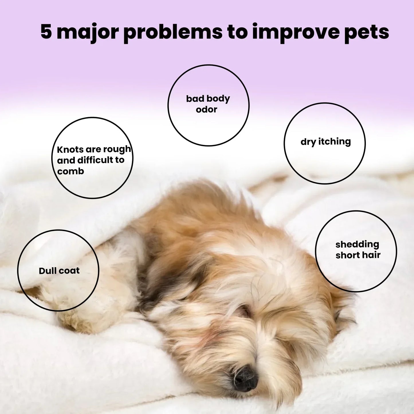 Pet Bath Shower Cleaning Cats Dogs Hair Smoothing Anti Flea Itching Odors Removal Moisturizing Effervescent Tablets Pet Shampoo