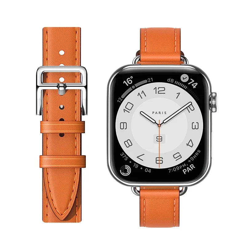 45300679737585|45300679770353