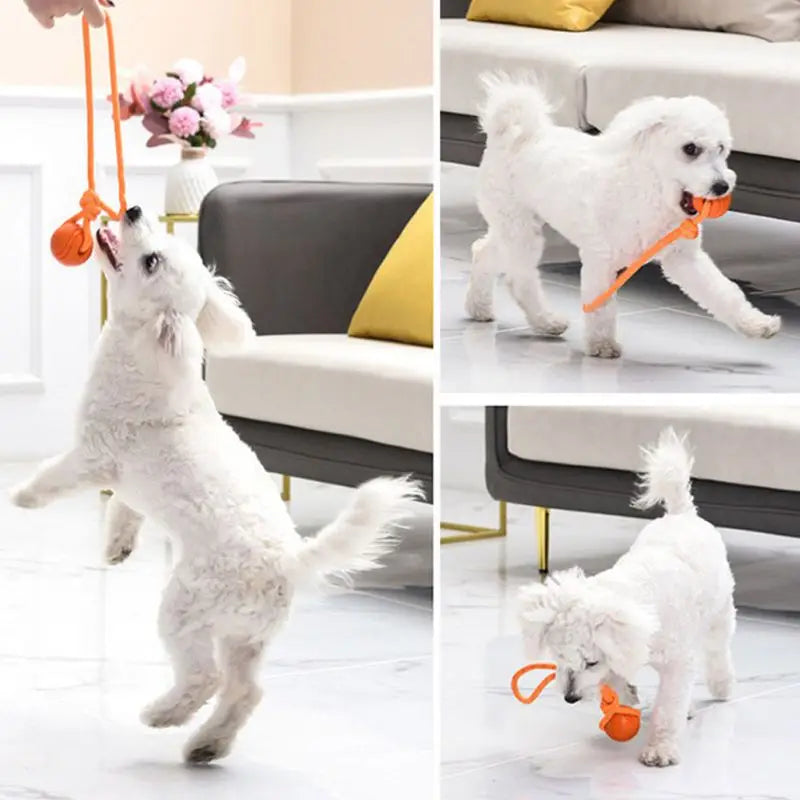 Dog Ball Toys Bouncy Rubber Ball Chew Toys Pet Dog Toy Ball with String Interactive Toys for Big Dog Puppy Games Toys