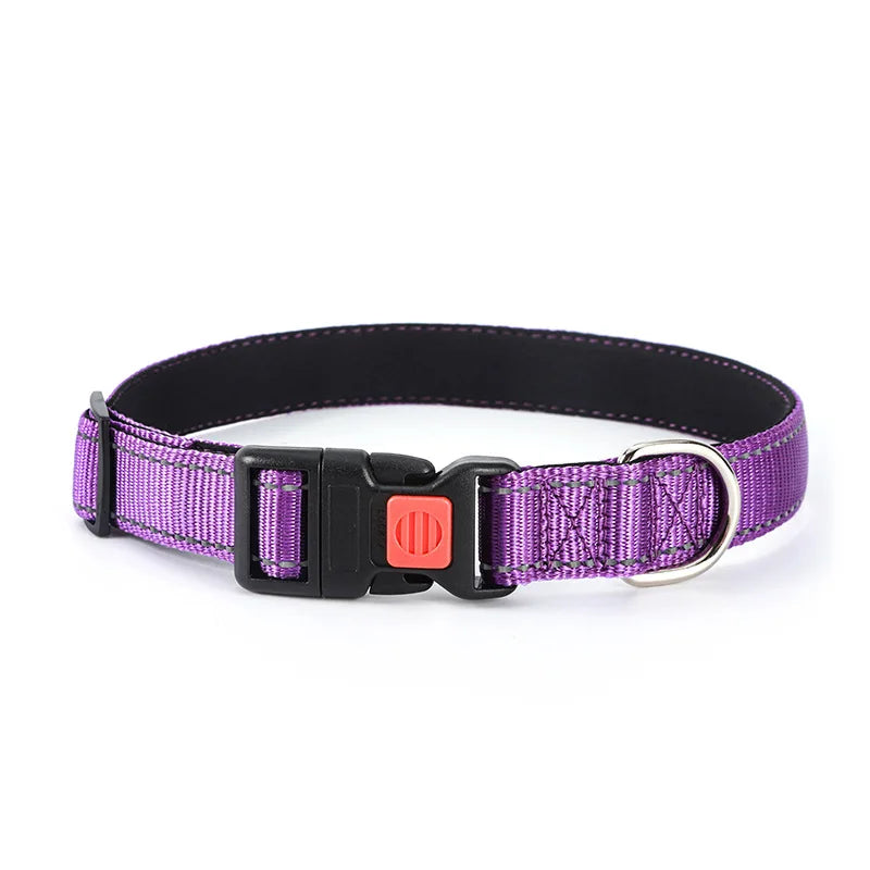 45270032941297|45270032974065|45270033039601|45270033563889