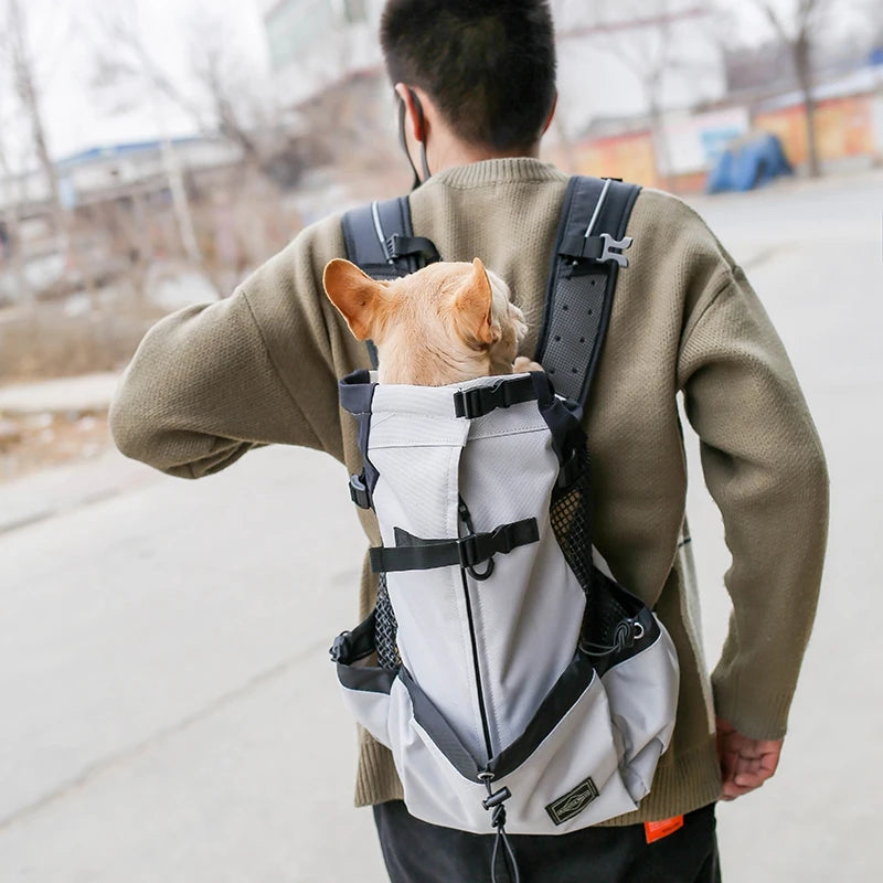 Outdoor Travel Large Capacity Pet Bag Outdoor Convenient Carry Breathable Cat and Dog Double Shoulder Backpacks Wholesale