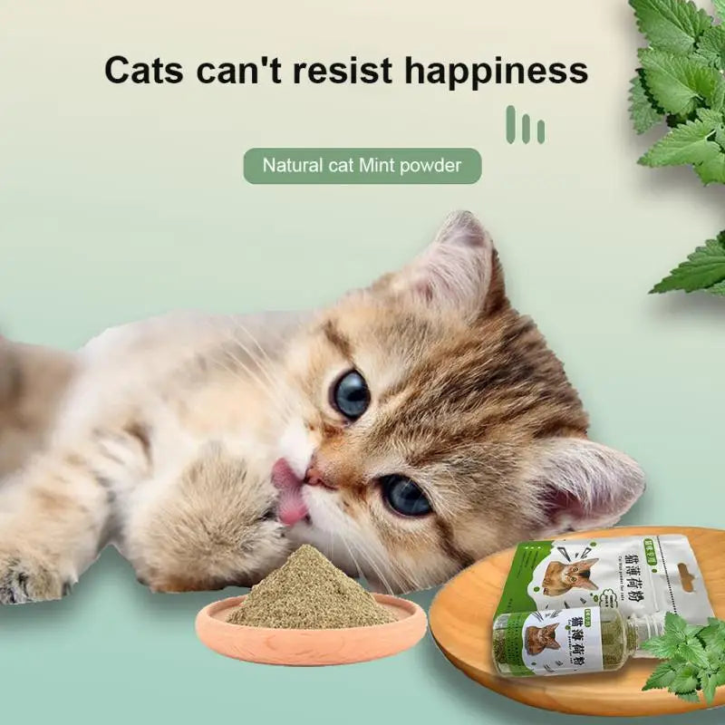 Cat Toys Catnip Organic Natural Cat Mint Grass Menthol Funny For Kitten Pet Cat Healthy Safe Edible Treating Products