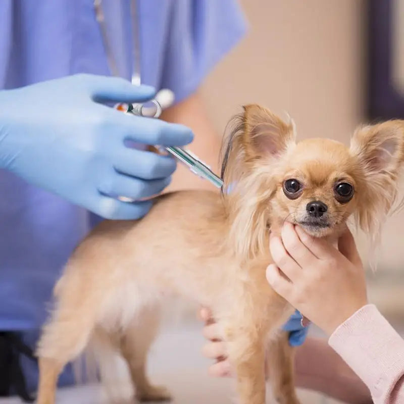 Pill Popper For Cats 5 Different-Shaped Medicine Feeders Solid Tablets Sleek Mouth And Feeding Stick For Cat Dog And Puppy