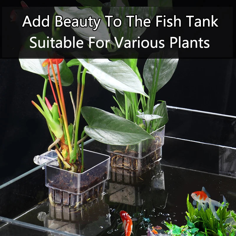 Aquarium Planting Basket Hydroponic Support Hangable Fish Tank Water Grass Cup Aquatic Plant Holder Wall Hanging Flower Pots