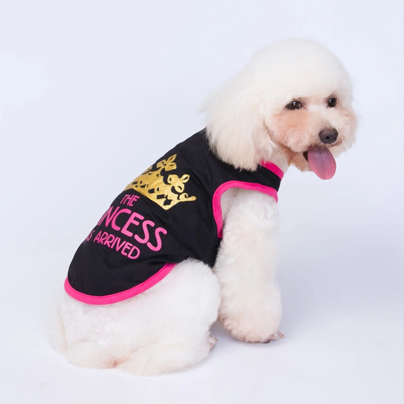 Dog Summer T-Shirts Vest,Costume Crown Basic Clothes for Small Medium Larg Boy Girl Dogs Cat Kitten Girls Boys Apparel