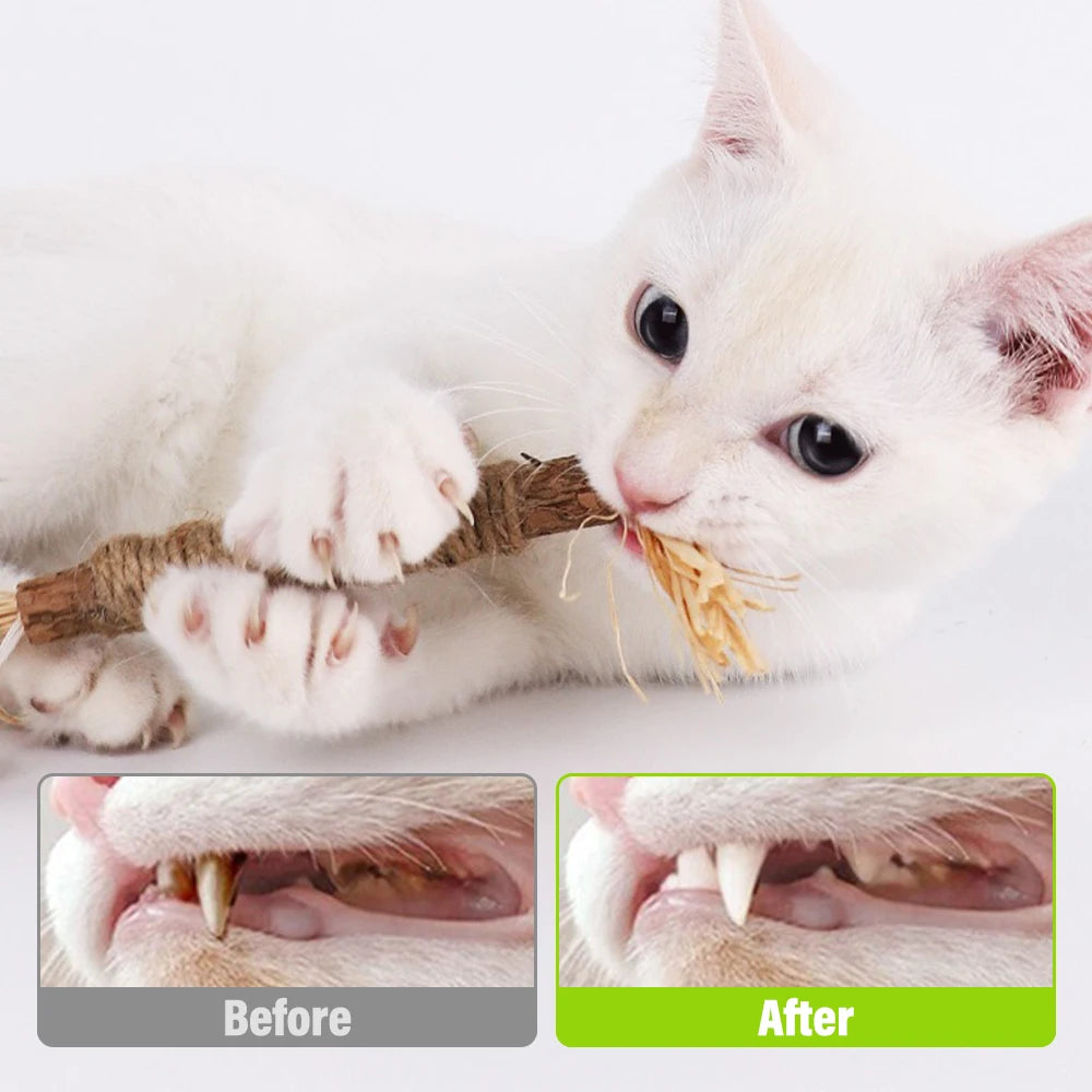 5pcs Pet Cat Snacks Sticks Catnip Polygonum Kitty Raffia Grass Pet Supplies Stick Pet Bite Cat Toy Hemp Rope Cats Accessories